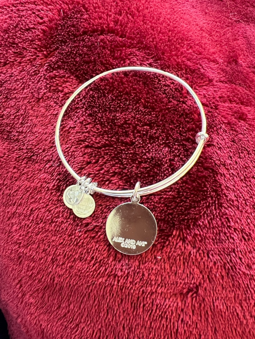Alex and Ani Silver Bangle Bracelet with Multi-Color Juneau Charm - Picture 2 of 3